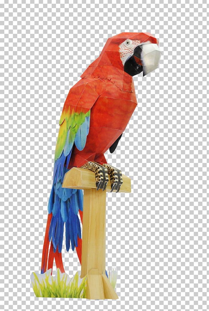 Budgerigar Macaw Paper Bird Parrot PNG, Clipart, Animal, Animals, Beak, Bird, Bird Supply Free PNG Download