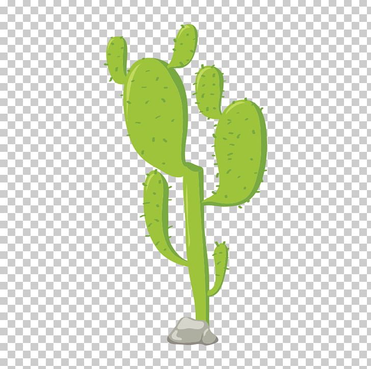 Cactaceae Euclidean PNG, Clipart, Cactus, Cactus Cartoon, Cactus Flower, Cactus Vector, Cartoon Cactus Free PNG Download