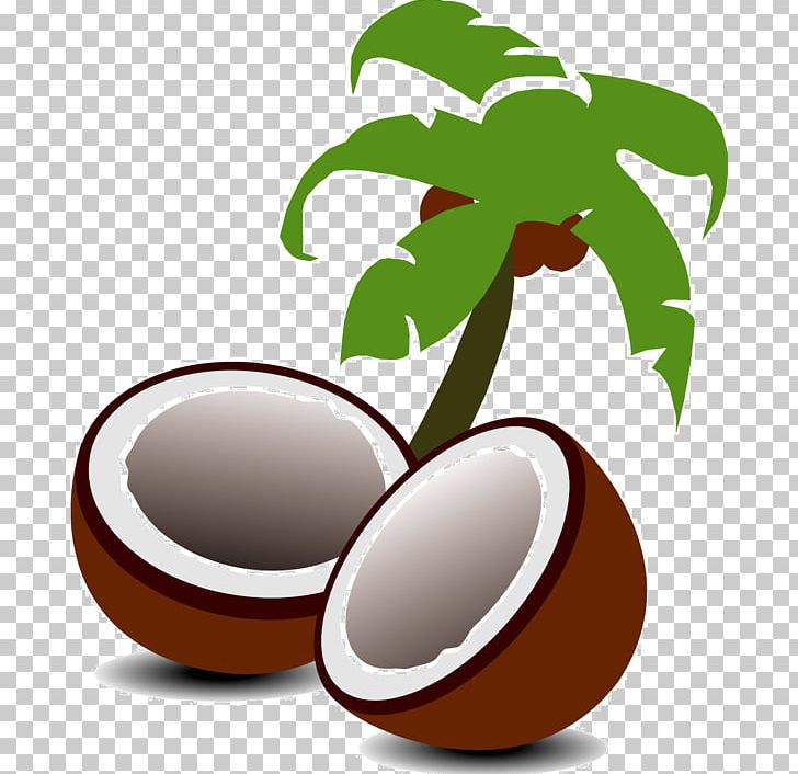 Coconut Arecaceae Tree PNG, Clipart, Arecaceae, Cartoon, Cartoon Tree, Coconut, Coconut Oil Free PNG Download