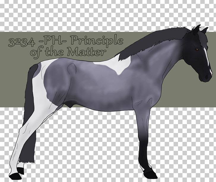 Mane Rein Stallion Mustang Horse Harnesses PNG, Clipart, Bridle, Colt, English Riding, Equestrian, Halter Free PNG Download