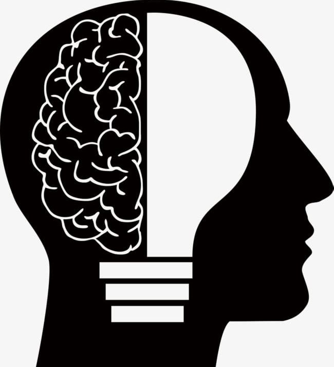 Wisdom Of The Brain PNG, Clipart, Brain, Brain Clipart, Bulb, How, Know Free PNG Download