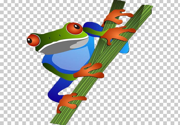 Indio Maíz Biological Reserve Tropical And Subtropical Dry Broadleaf Forests Apoyo Lagoon Natural Reserve Tree Frog San Juan River PNG, Clipart, Amphibian, Ecosystem, Forest, Frog, Grass Free PNG Download