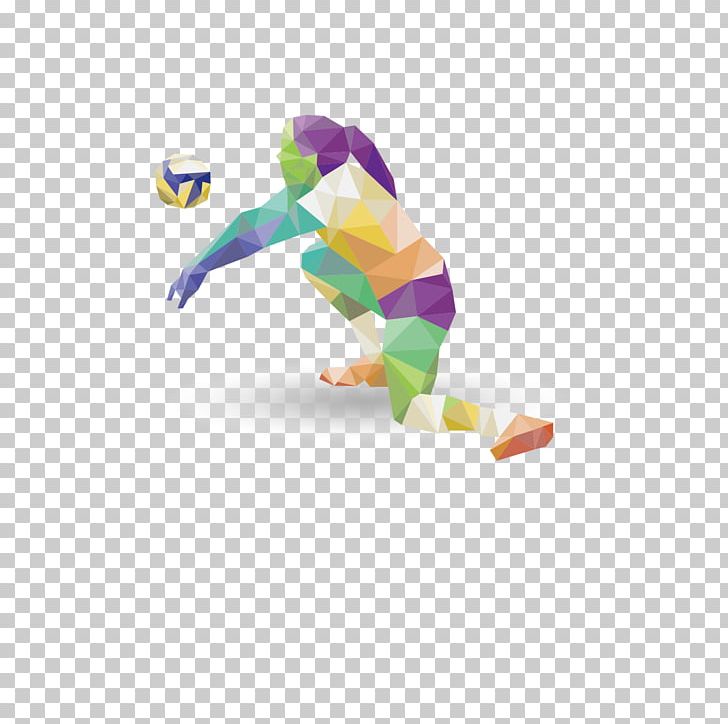 Volleyball Sports League PNG, Clipart, Baseball, Beach Volleyball, Beak, Blue, Blue Patchwork Free PNG Download