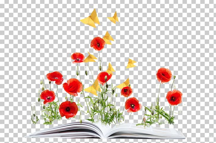 Common Poppy Opium Poppy Flower PNG, Clipart, Book, Common Poppy, Computer, Euclidean Vector, Flora Free PNG Download