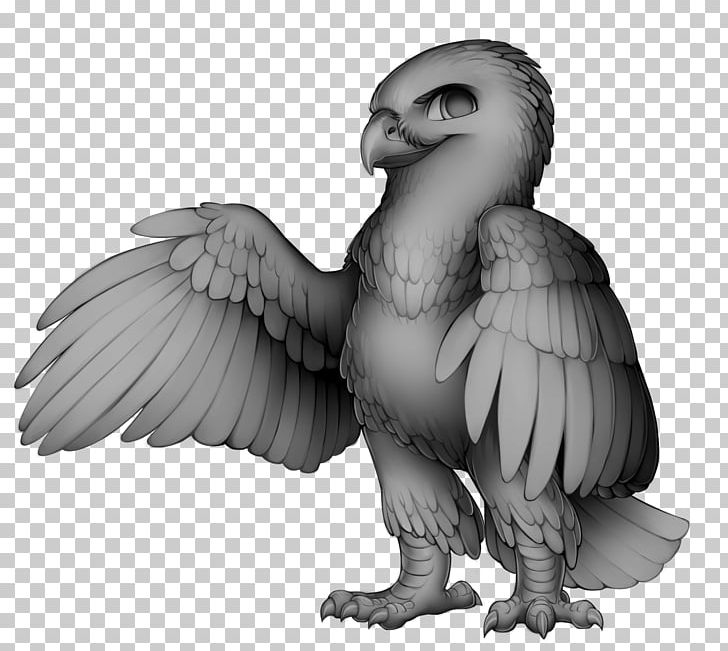 Eagle Bearded Vulture Bird Hawk PNG, Clipart, Animals, Base, Beak, Bearded Vulture, Bird Free PNG Download