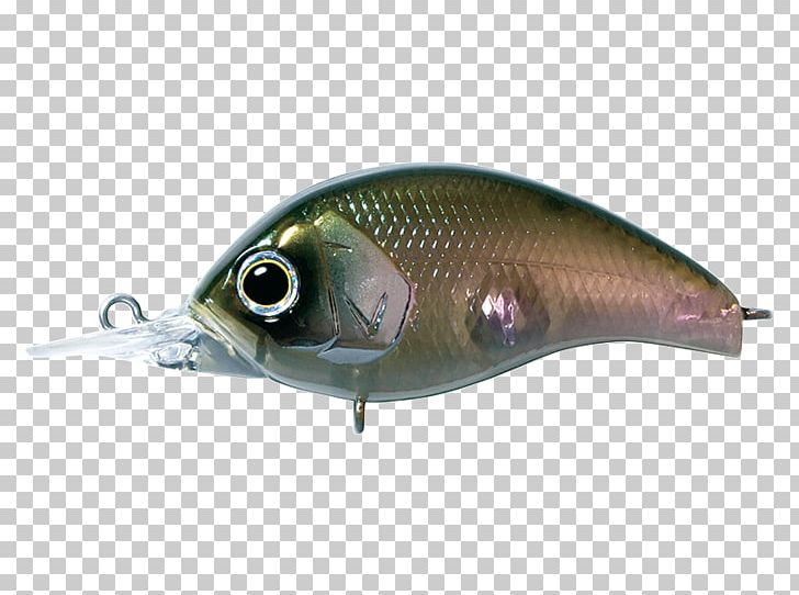 Milkfish Spoon Lure Oily Fish AC Power Plugs And Sockets PNG, Clipart, Ac Power Plugs And Sockets, Animals, Bait, Bony Fish, Dep Free PNG Download