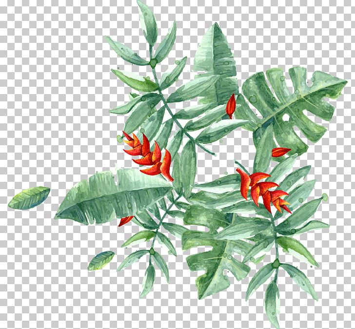 PopSockets Grip Banana Leaf Tropics Plant PNG, Clipart, Arecaceae, Banana Leaf, Color, Creative Market, Drawing Free PNG Download