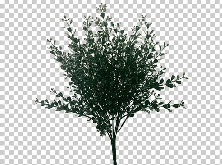 Shrub Artificial Flower Plant JMC Floral Flower Bouquet PNG, Clipart, Artificial Flower, Australia, Black And White, Box, Branch Free PNG Download