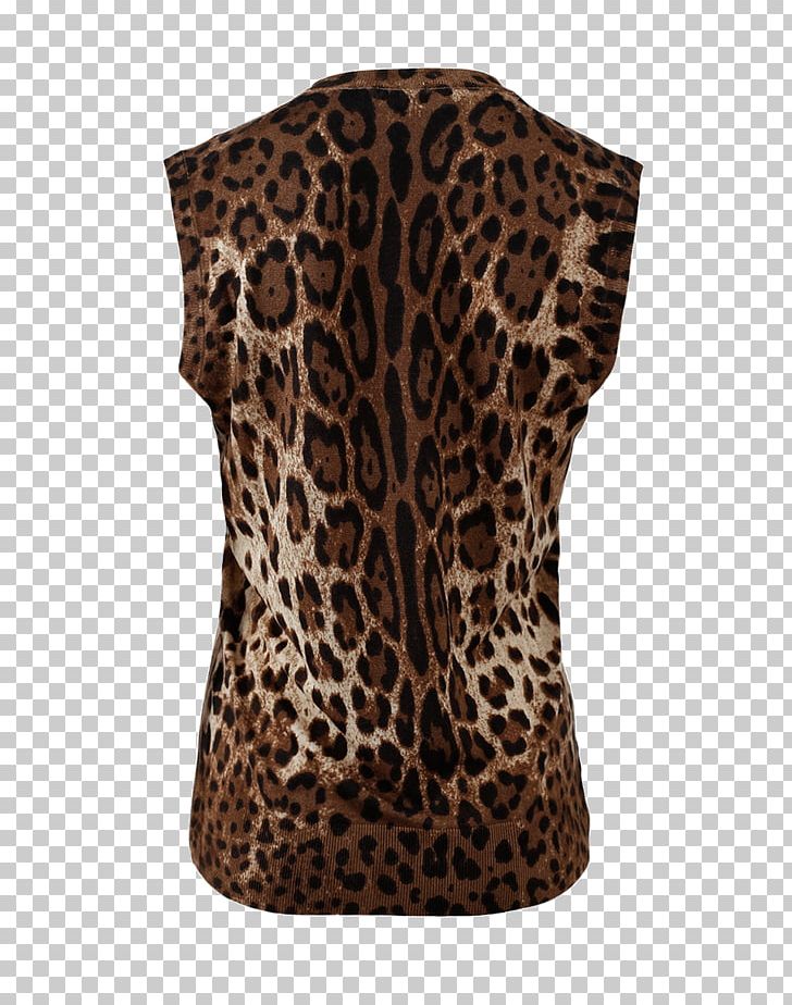 dolce gabbana leopard t shirt