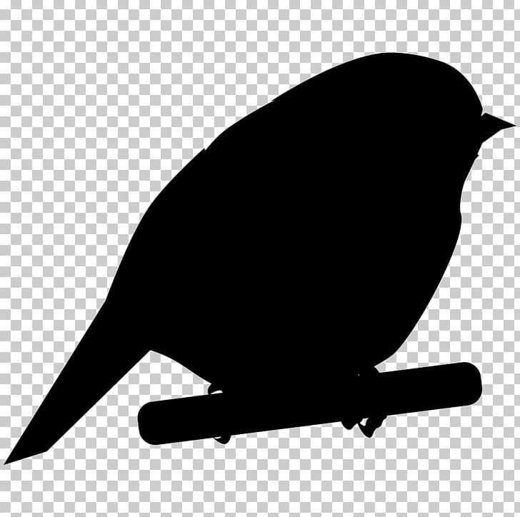 All About Birds Chickadee Falcon Cornell Lab Of Ornithology PNG, Clipart, All About Birds, American Bushtit, Animals, Beak, Bird Free PNG Download