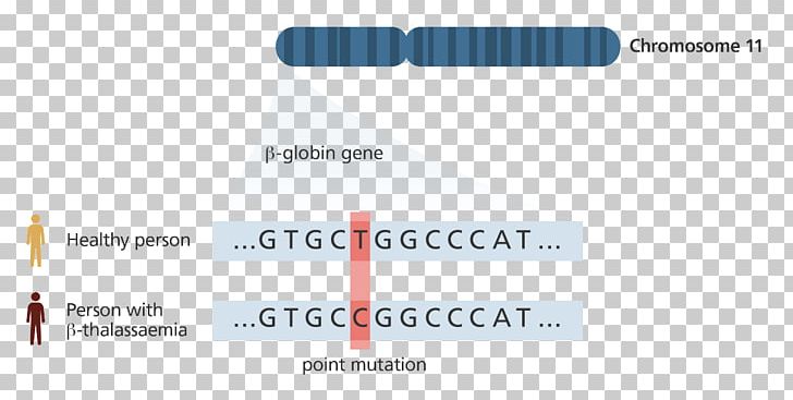 Genetics Genome Sequencing DNA PNG, Clipart, Bioinformatics, Biology, Brand, Chromosome, Diagram Free PNG Download