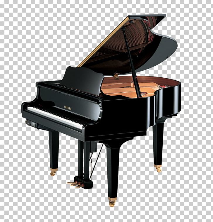 Grand Piano Disklavier Yamaha Corporation Digital Piano PNG, Clipart, 1 K, Acoustic Guitar, Dgb, Digital Piano, Disklavier Free PNG Download