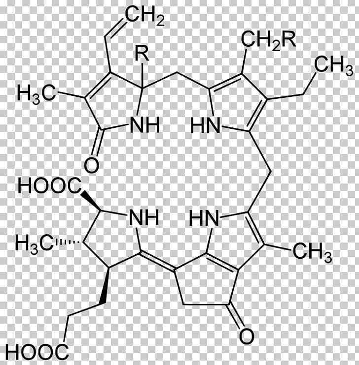 Luciferin Dinoflagellates Tetrapyrrole Plastid Dinoflagellate Luciferase PNG, Clipart, Algae, Angle, Area, Black And White, Chlorophyll Free PNG Download