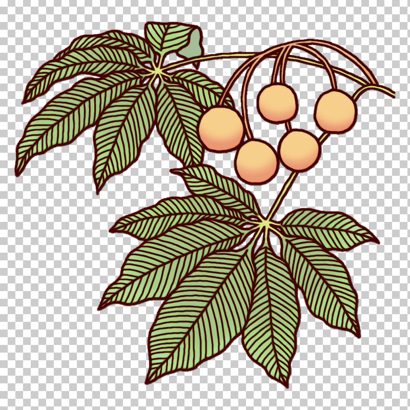 Leaf Fruit Flower Plants Biology PNG, Clipart, Biology, Flower, Fruit, Leaf, Paint Free PNG Download