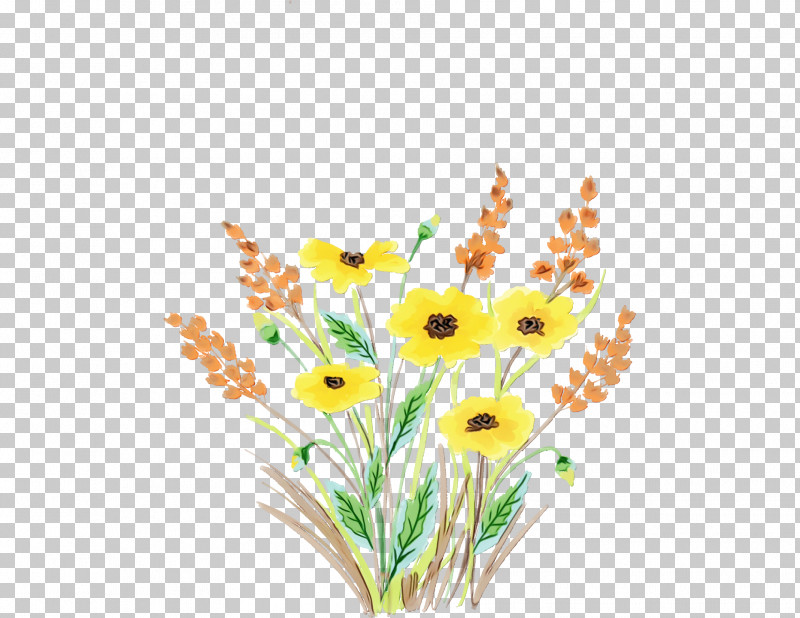 Flower Plant Cut Flowers Pedicel Grass PNG, Clipart, Cut Flowers, Flower, Grass, Paint, Pedicel Free PNG Download