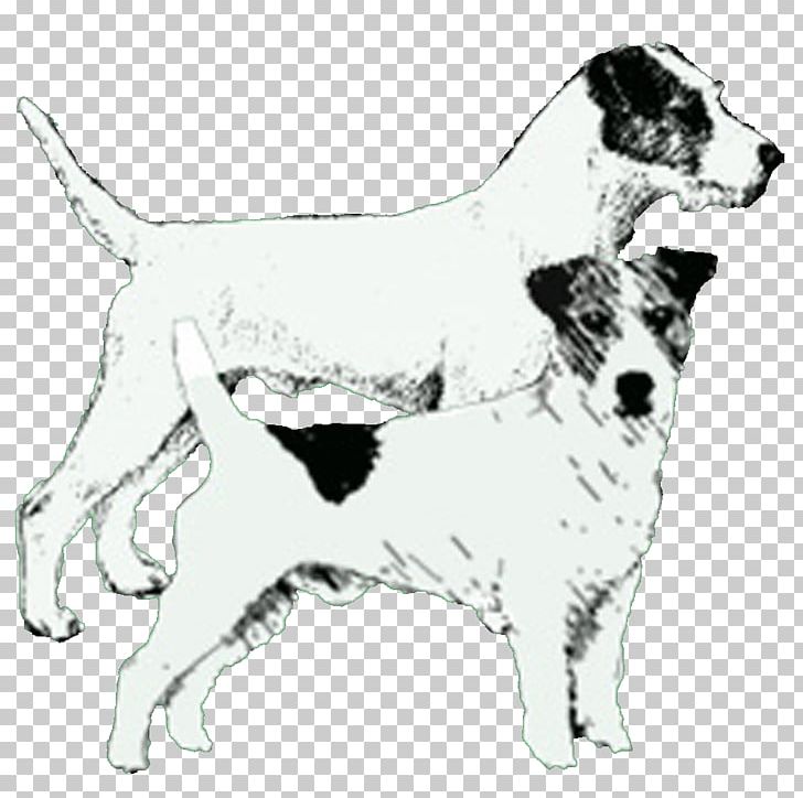 Dog Breed Jack Russell Terrier Parson Russell Terrier Companion Dog Sporting Group PNG, Clipart, Black And White, Breed, Carnivoran, Companion Dog, Dog Free PNG Download