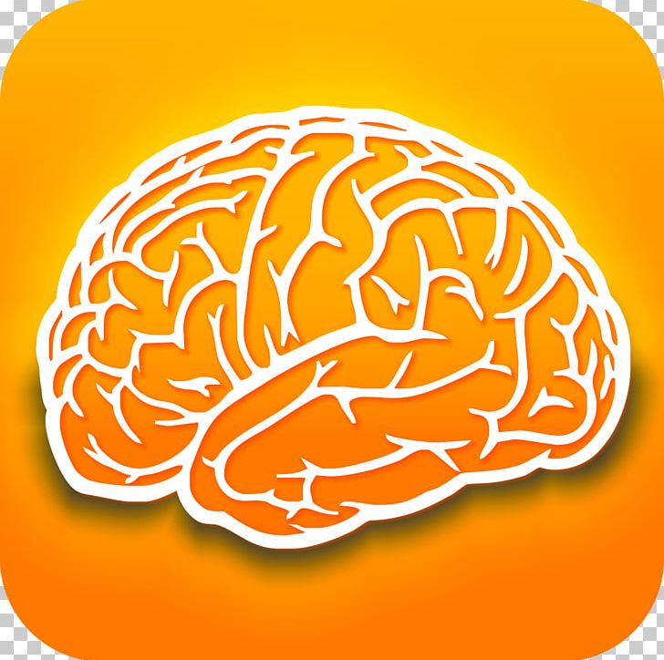 Human Brain Dietary Supplement Research Nootropic PNG, Clipart, Albert Einsteins Brain, Brain, Brainstem, Cognition, Dietary Supplement Free PNG Download