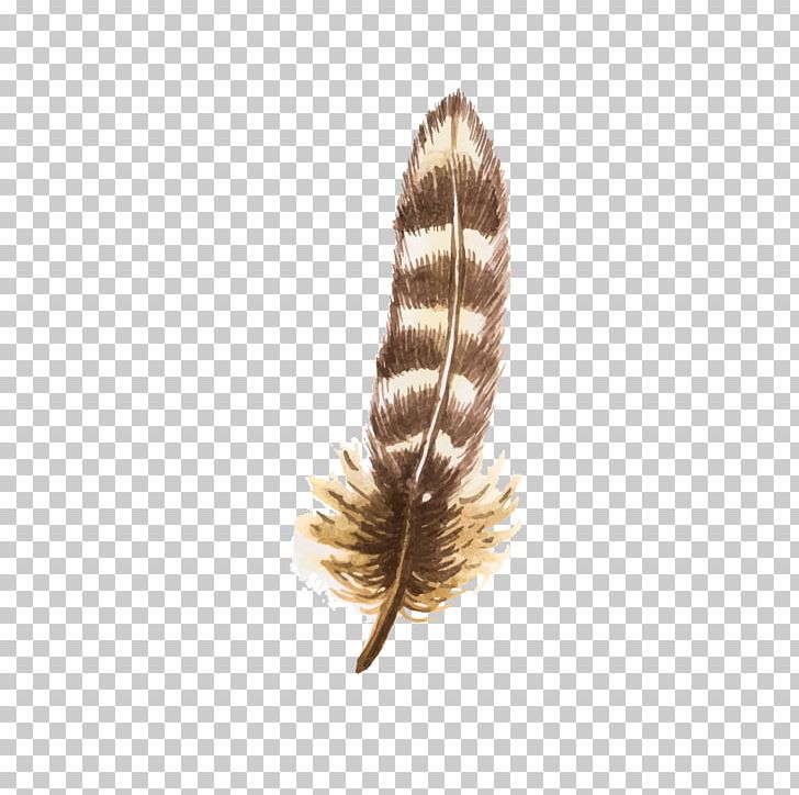 Bird Feather Euclidean PNG, Clipart, Animals, Bird, Download, Draw, Drawing Free PNG Download