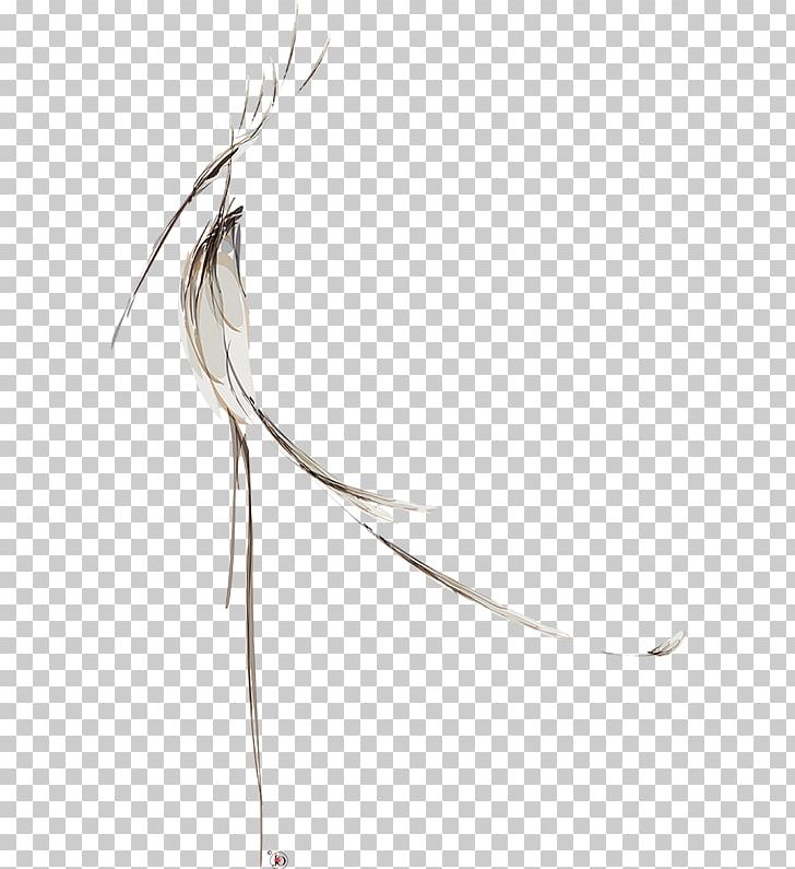 Feather Line Beak PNG, Clipart, Animals, Beak, Bird, Branch, Feather Free PNG Download