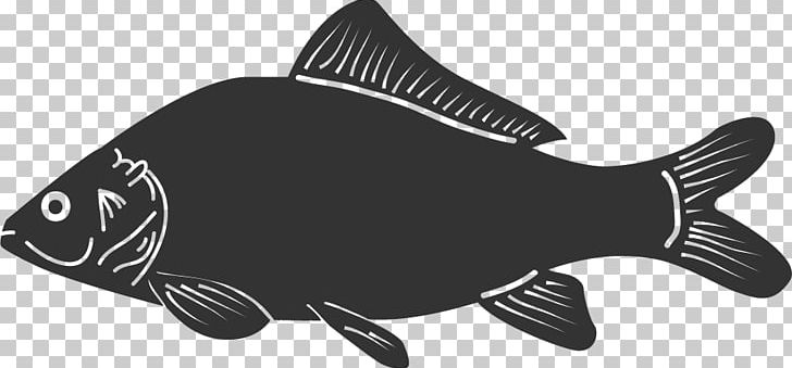 Fish PNG, Clipart, Arkansas, Black, Black And White, Carp, Fish Free PNG Download