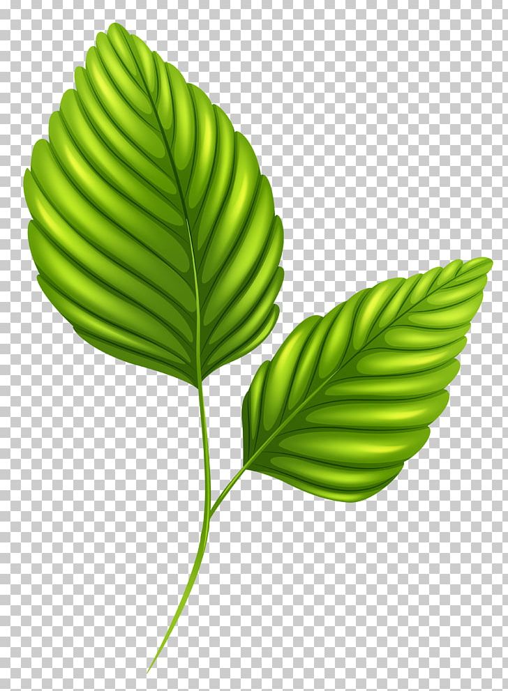 Leaf Desktop PNG, Clipart, Autumn Leaf Color, Border, Clip Art, Computer Icons, Desktop Wallpaper Free PNG Download