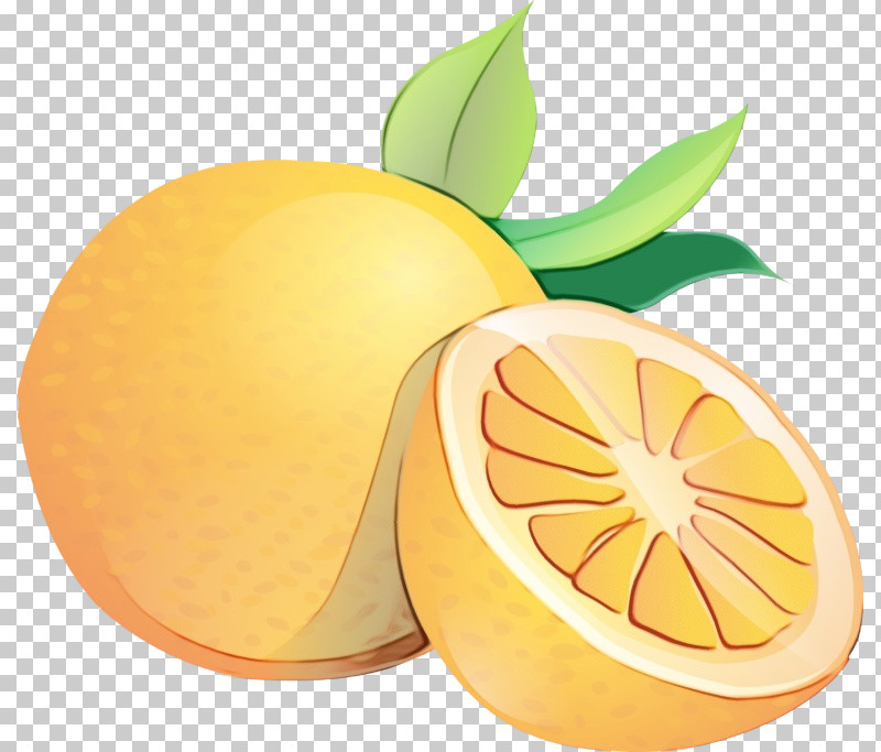 Orange PNG, Clipart, Apple, Bitter Orange, Citric Acid, Citron, Grapefruit Free PNG Download