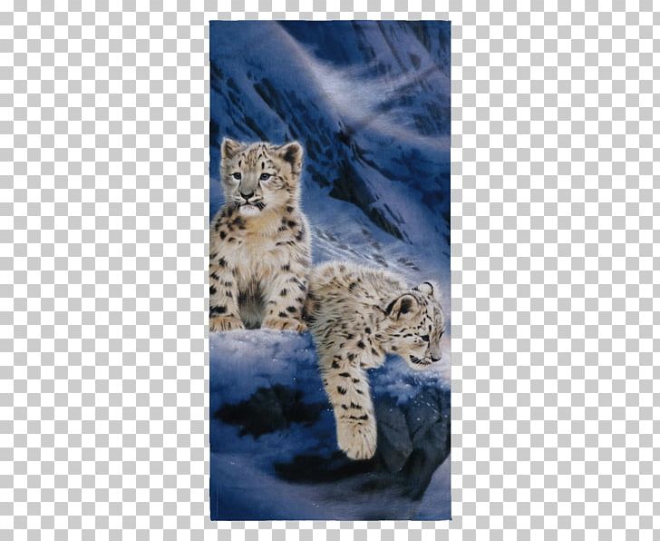 Cheetah Leopard Towel Cat Carnivora PNG, Clipart, Algarve, Animal, Animals, Beach, Big Cat Free PNG Download
