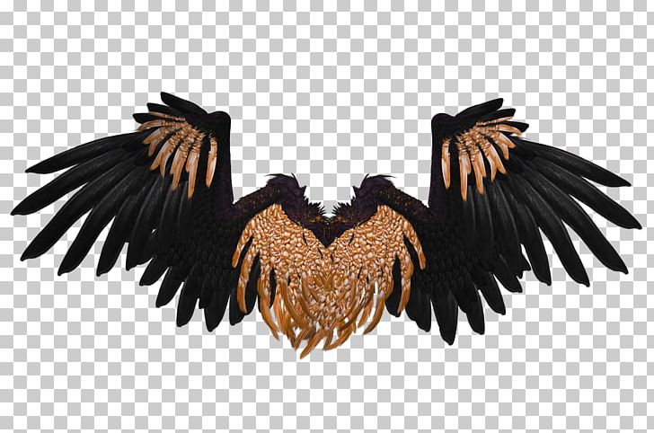 Wings Black And Brown Crow PNG, Clipart, Comics And Fantasy, Wings Free PNG Download