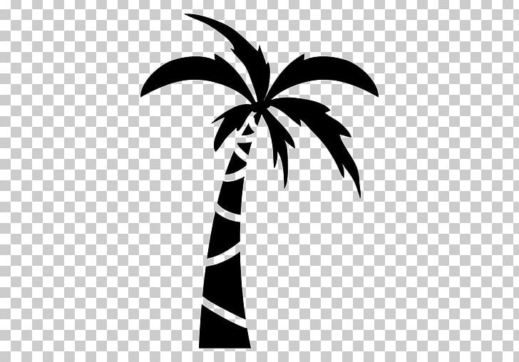 Drawing Arecaceae Cartoon PNG, Clipart, Arecaceae, Arecales, Black And White, Branch, Cartoon Free PNG Download