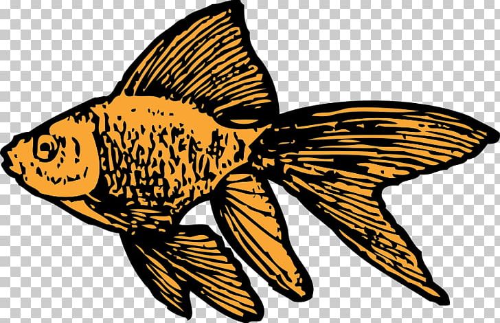 Koi Goldfish PNG, Clipart, Aquarium, Art, Brush Footed Butterfly, Butterfly, Fauna Free PNG Download