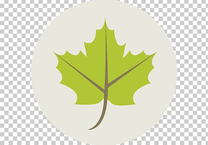 Maple Leaf Computer Icons Green PNG, Clipart, Circle, Computer Icons, Desktop Wallpaper, Ecology, Green Free PNG Download