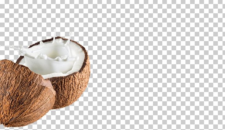 Coconut Water Coconut Milk Powder PNG, Clipart, Coconut, Coconut Cream, Coconut Milk, Coconut Milk Powder, Coconut Oil Free PNG Download