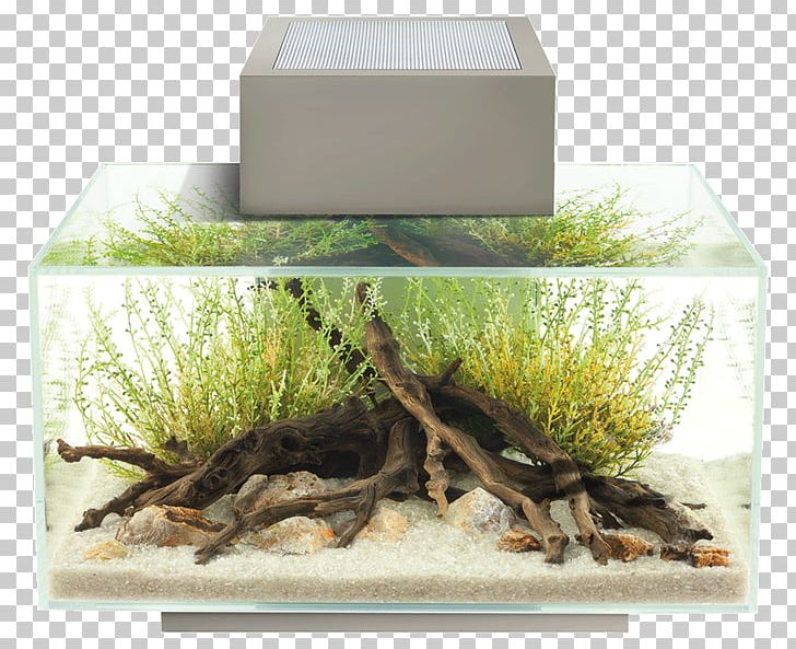 Lightemitting Diode Fluval Edge Aquariums LED Lamp PNG, Clipart