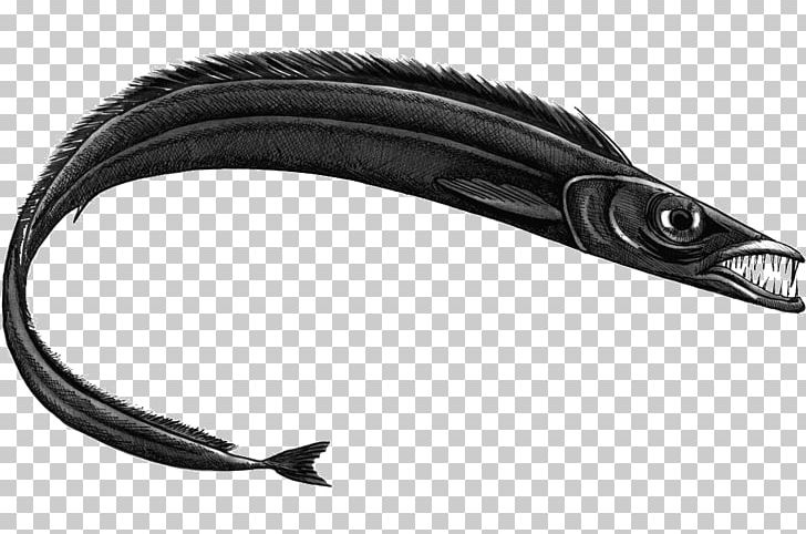 Black Scabbardfish Largehead Hairtail Swordfish Fishing PNG, Clipart, Animal, Animals, Black, Black Scabbardfish, Cat Free PNG Download