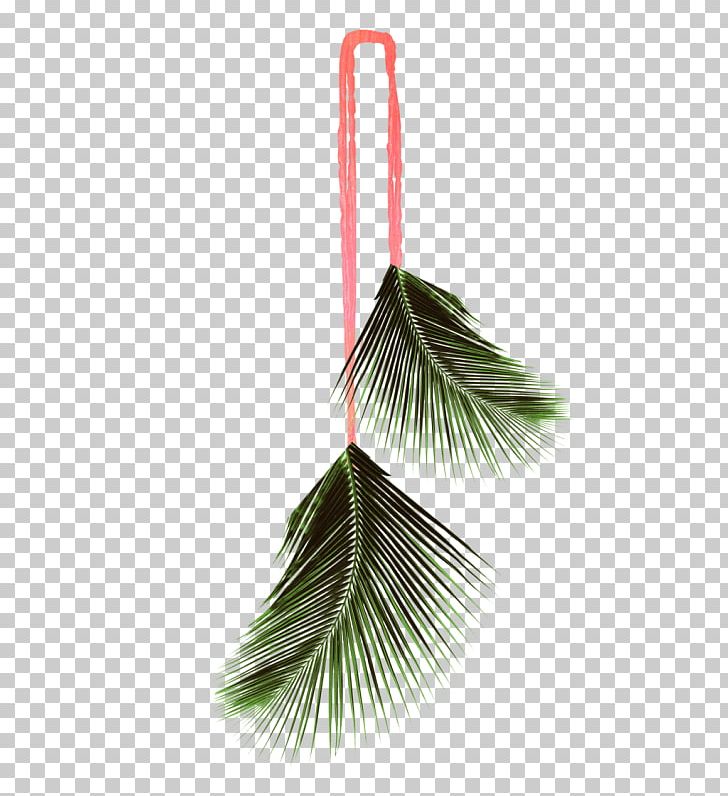Leaf Coconut Arecaceae PNG, Clipart, Arecaceae, Autumn Leaves, Banana Leaves, Branch, Coconut Free PNG Download
