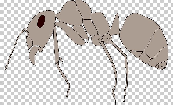 Red Wood Ant Mosquito Insect Ectognatha PNG, Clipart, Ant, Arthropod, Arthropod Mouthparts, Bilder, Biology Free PNG Download