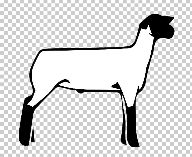Sheep Boer Goat Cattle Graphics PNG, Clipart, Animals, Art Club, Beak, Black, Black And White Free PNG Download