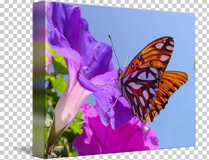 Monarch Butterfly Brush-footed Butterflies Art Kind PNG, Clipart, Art, Brush Footed Butterfly, Butterfly, Canvas, Flower Free PNG Download