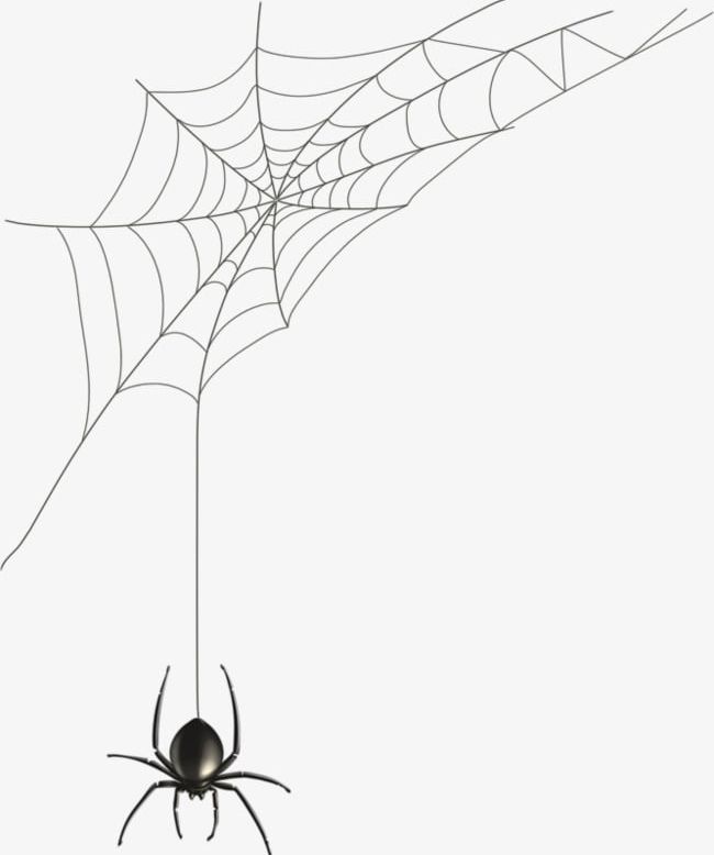 Spiders And Cobwebs PNG, Clipart, Cobweb, Cobwebs Clipart, Line, Network, Spider Free PNG Download