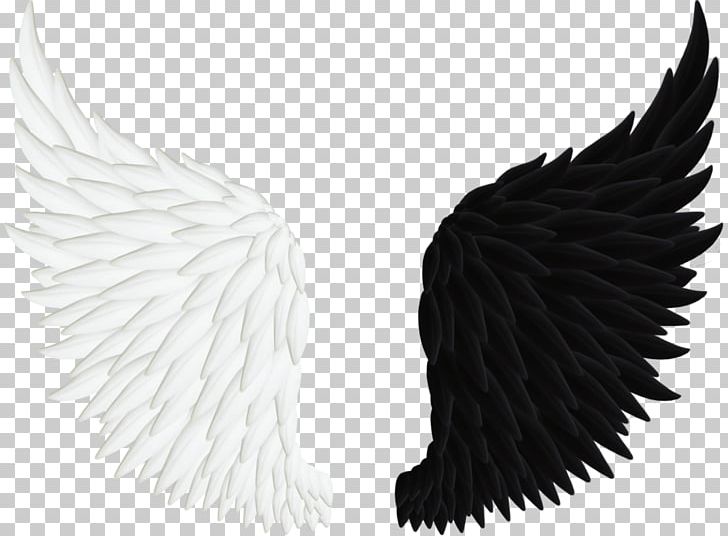 Angel PNG, Clipart, Angel, Beak, Black And White, Black And White Wings, Clip Art Free PNG Download