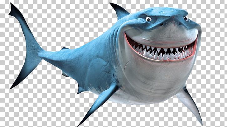 Bruce Great White Shark Marlin PNG, Clipart, Animals, Bruce, Carcharhiniformes, Cartilaginous Fish, Finding Dory Free PNG Download