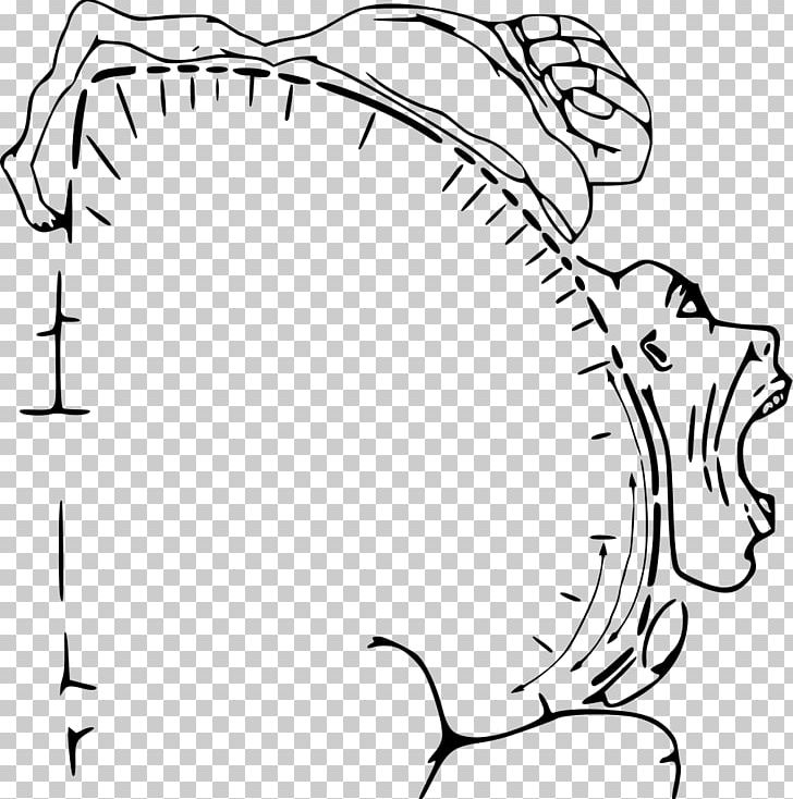 Cortical Homunculus Cerebral Cortex Primary Somatosensory Cortex Brain PNG, Clipart, Angle, Arm, Black, Eye, Face Free PNG Download