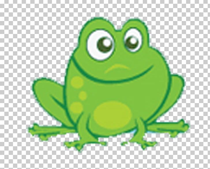 True Frog Tree Frog Toad PNG, Clipart, Amphibian, Animals, Frog, Galinha Pintadinha, Grass Free PNG Download