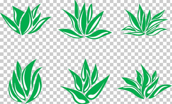 Aloe Vera Euclidean Agave Deserti PNG, Clipart, Adobe Illustrator, Agave, Aloe, Aloe Plant, Aloe Vector Free PNG Download
