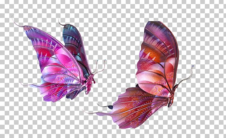 Butterfly PNG, Clipart, Adobe Illustrator, Butterflies, Butterfly Group, Encapsulated Postscript, Fundal Free PNG Download