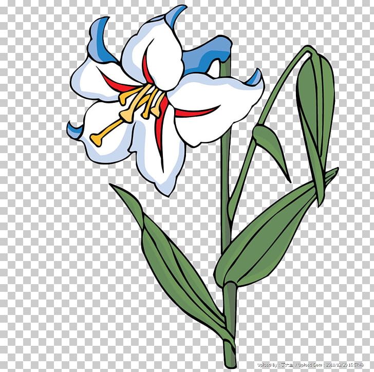 Floral Design Flower White PNG, Clipart, Art, Artwork, Blue, Calla Lily, Coreldraw Free PNG Download
