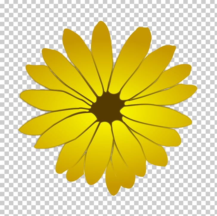 Flower Drawing PNG, Clipart, Calendula, Carnation, Chrysanths, Common Daisy, Computer Icons Free PNG Download