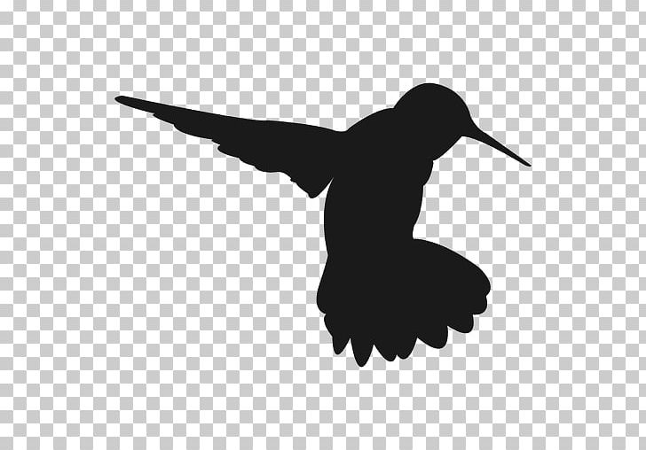 Hummingbird Silhouette PNG, Clipart, Animals, Beak, Bird, Black And White, Clip Art Free PNG Download