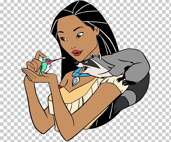 Meeko Pocahontas 0 Thumb PNG, Clipart, 1995, Arm, Art, Birthday, Cartoon Free PNG Download