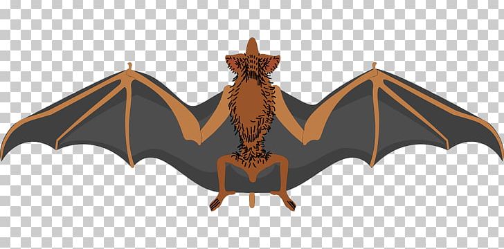 Bat Wing PNG, Clipart, Animals, Baseball Bats, Bat, Bat Clipart, Download Free PNG Download